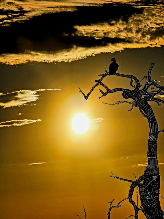 A bright golden sun in an amber sky with gold-lit clouds; a dead tree covered in zentangle-style ink doodle patterns with a bird perched on a branch.