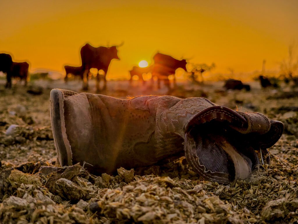 Old boot laying infront of the sunset